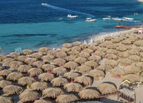 Paradise Island Snorkeling