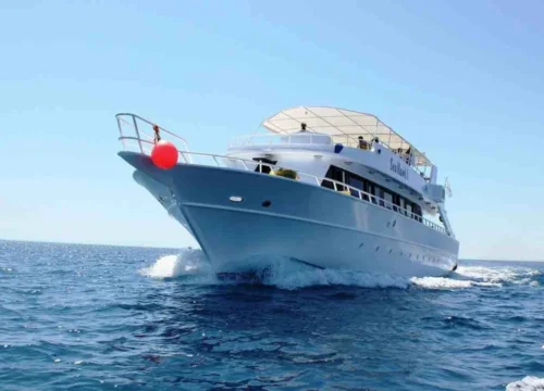 Private snorkeling boat tour