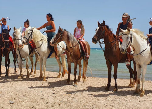 Red Sea and Desert Horseback Riding Tour with Swimming 1 or 2 hours